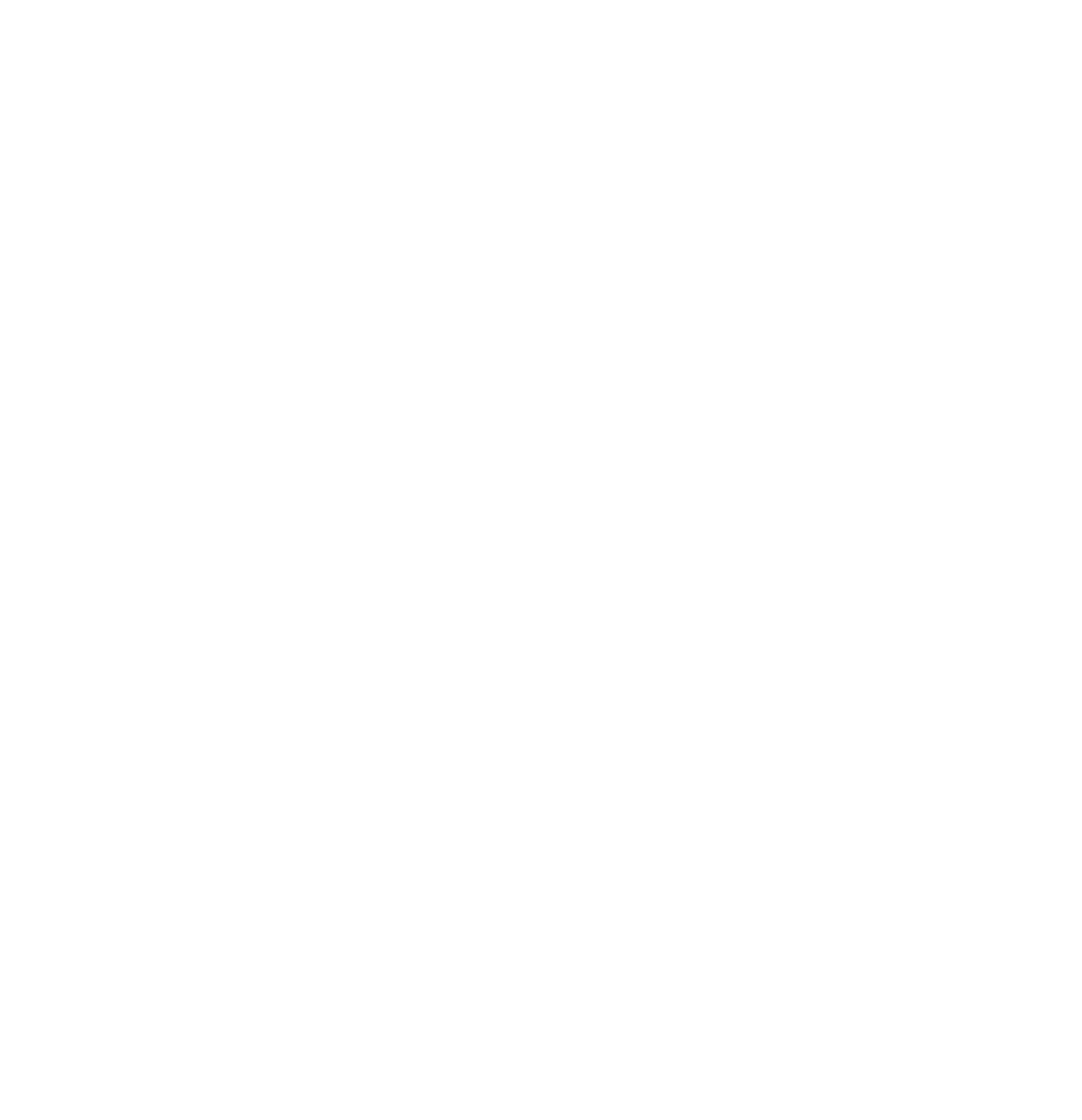 Информационная безопасность